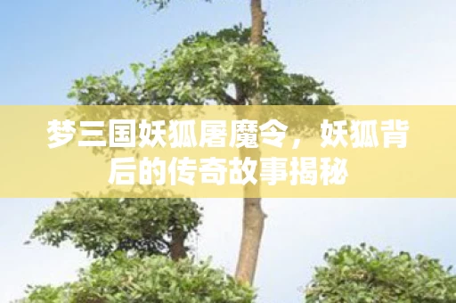 妖狐背后的传奇故事揭秘图片