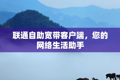 联通自助宽带客户端图片