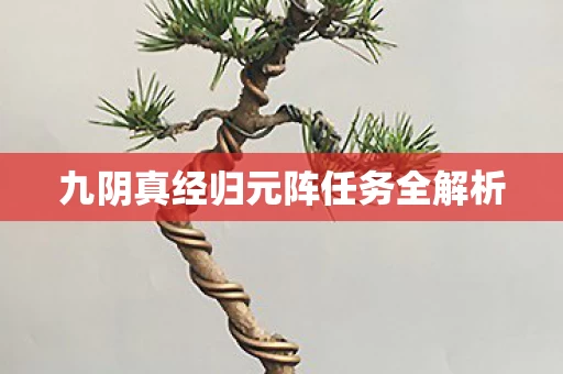 九阴真经归元阵任务全解析图片