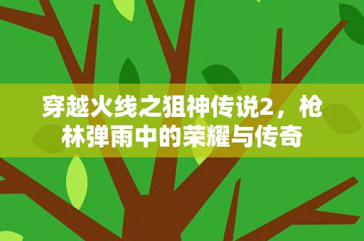 枪林弹雨中的荣耀与传奇图片