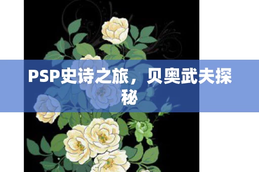 PSP史诗之旅图片