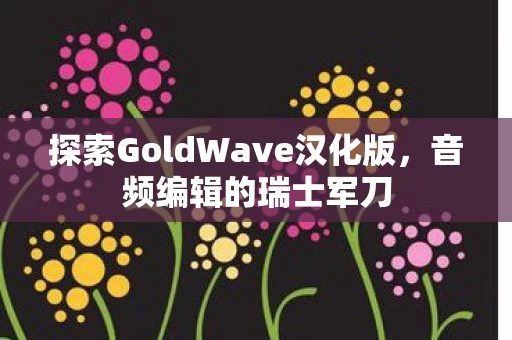 探索GoldWave汉化版图片