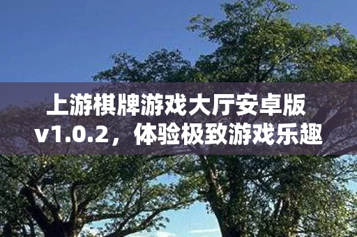 上游棋牌游戏大厅安卓版 v1图片