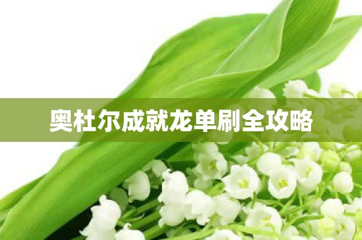 奥杜尔成就龙单刷全攻略图片