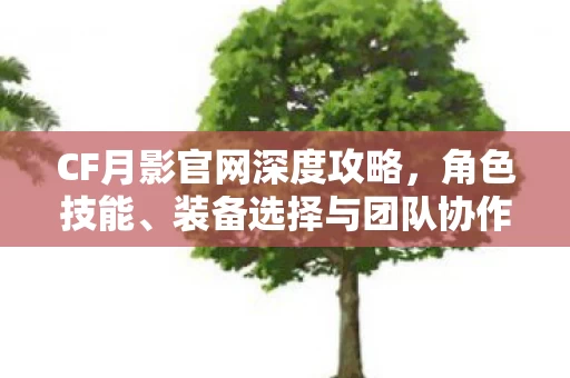 装备选择与团队协作全解析图片