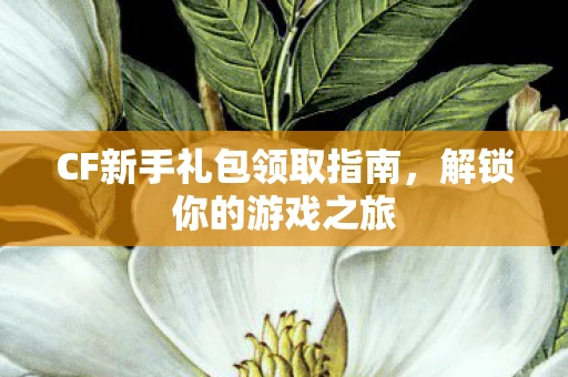 CF新手礼包领取指南图片