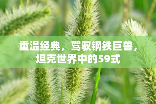 坦克世界中的59式图片