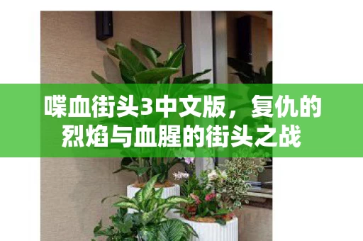 复仇的烈焰与血腥的街头之战图片