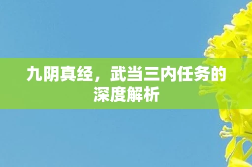 武当三内任务的深度解析图片
