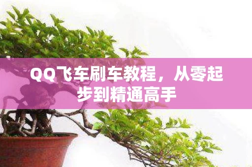 从零起步到精通高手图片