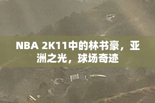 NBA 2K11中的林书豪图片