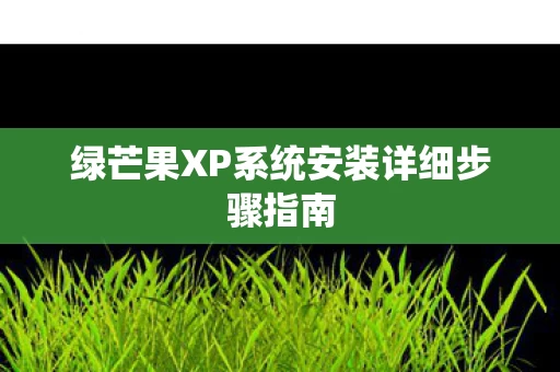 绿芒果XP系统安装详细步骤指南图片