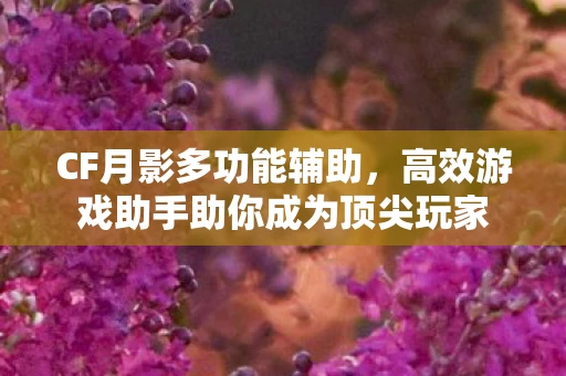 高效游戏助手助你成为顶尖玩家图片