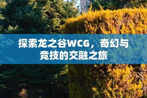 奇幻与竞技的交融之旅图片