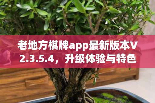 老地方棋牌app最新版本V2图片
