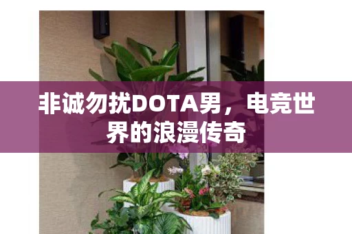 非诚勿扰DOTA男图片