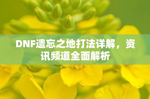 DNF遗忘之地打法详解图片