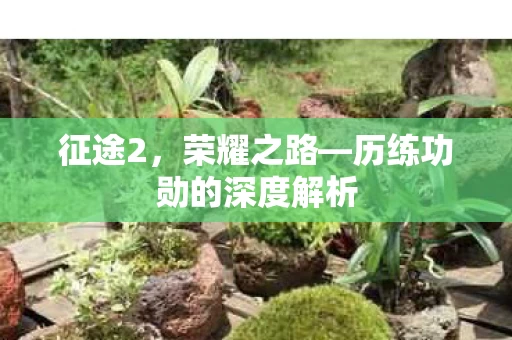 历练功勋的深度解析图片