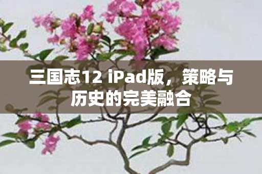 三国志12 iPad版图片