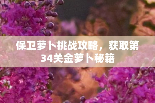 获取第34关金萝卜秘籍图片