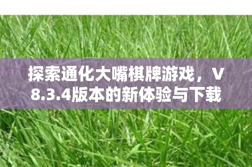 4版本的新体验与下载指南图片