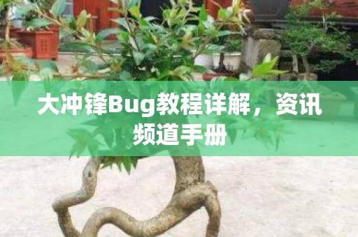 大冲锋Bug教程详解图片