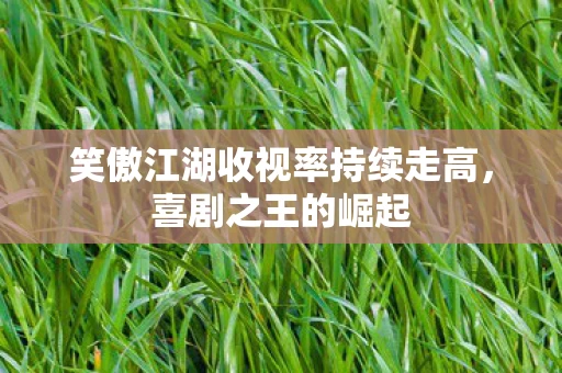 笑傲江湖收视率持续走高图片