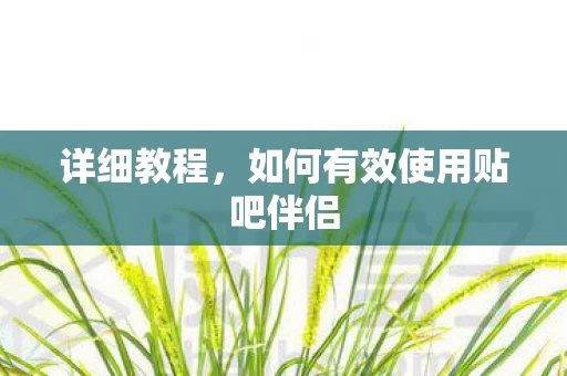 如何有效使用贴吧伴侣图片