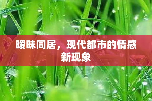 现代都市的情感新现象图片
