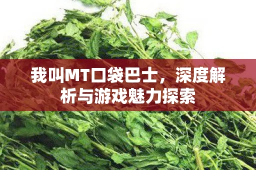 深度解析与游戏魅力探索图片
