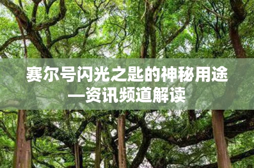 赛尔号闪光之匙的神秘用途图片