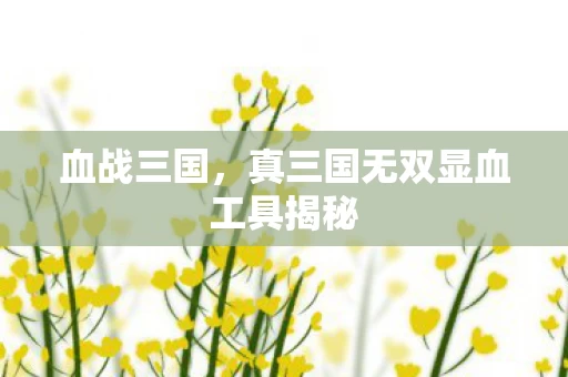 真三国无双显血工具揭秘图片