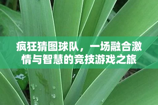 一场融合激情与智慧的竞技游戏之旅图片