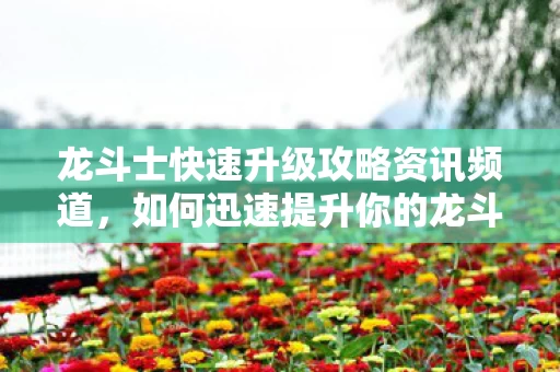 龙斗士快速升级攻略资讯频道图片