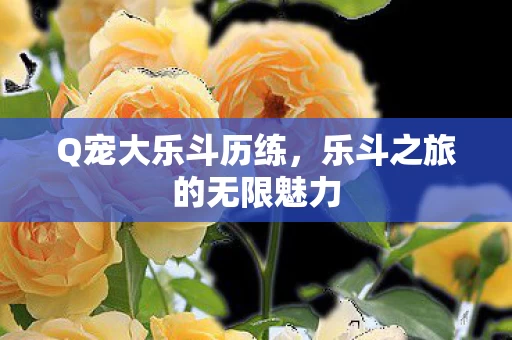 乐斗之旅的无限魅力图片