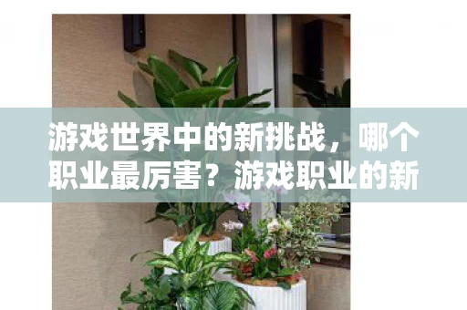 游戏职业的新挑战之旅图片
