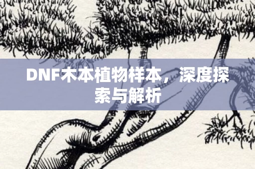 DNF木本植物样本图片