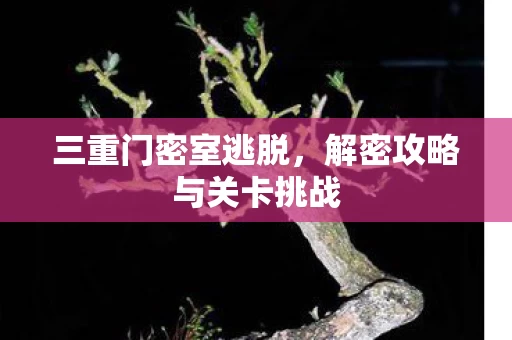 解密攻略与关卡挑战图片