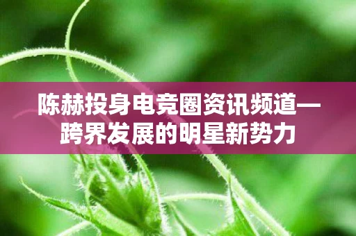 陈赫投身电竞圈资讯频道图片