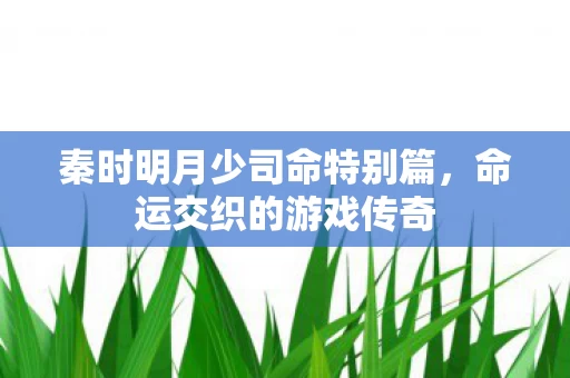秦时明月少司命特别篇图片