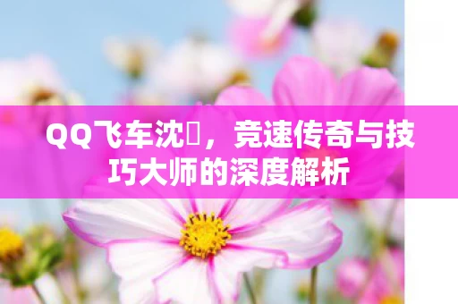 竞速传奇与技巧大师的深度解析图片