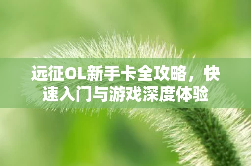 快速入门与游戏深度体验图片