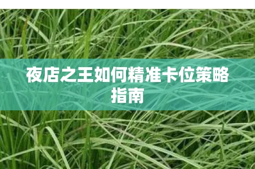 夜店之王如何精准卡位策略指南图片