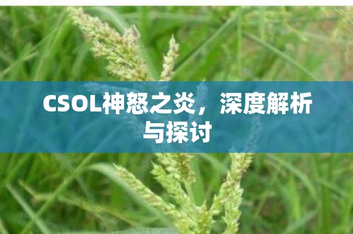 CSOL神怒之炎图片