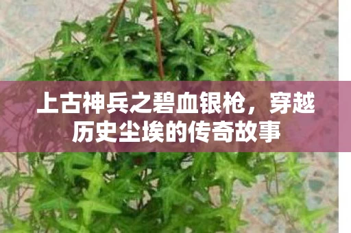 穿越历史尘埃的传奇故事图片