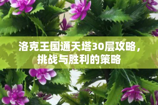 洛克王国通天塔30层攻略图片
