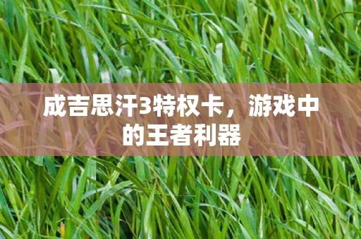 成吉思汗3特权卡图片