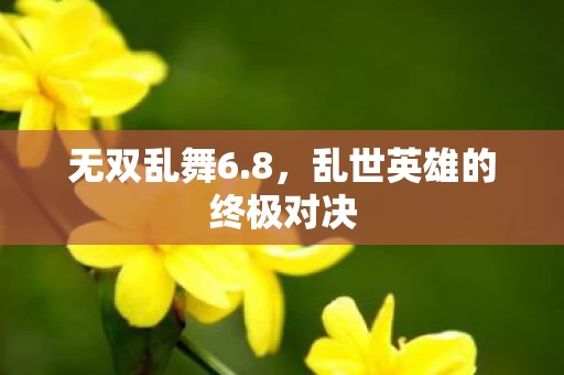 乱世英雄的终极对决图片