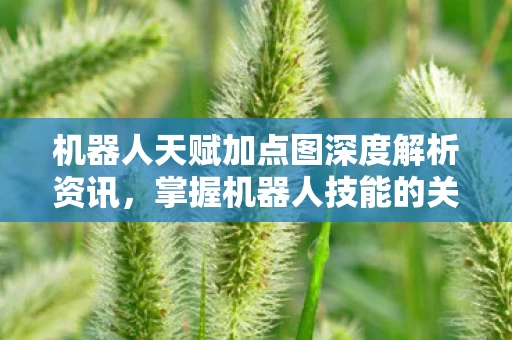 机器人天赋加点图深度解析资讯图片