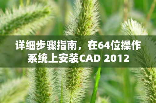 在64位操作系统上安装CAD 2012图片